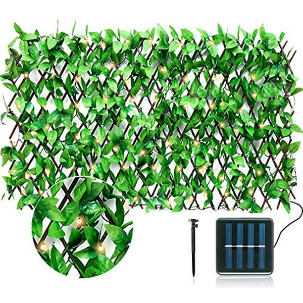 LYLON Expandable Trellis Fence Hedge Privacy Screen with Leaves 113 Solar LED Lights Rectractable Artificial Ivy Fence Decorative for Balcony Patio Outdoor Backdrop Garden Backyard Home Decorations LYLON Expandable Trellis Fence Hedge Privacy Screen with Leaves 113 Solar LED Lights Rectractable Artificial Ivy Fence Decorative for Balcony Patio Outdoor Backdrop Garden Backyard Home Decorations